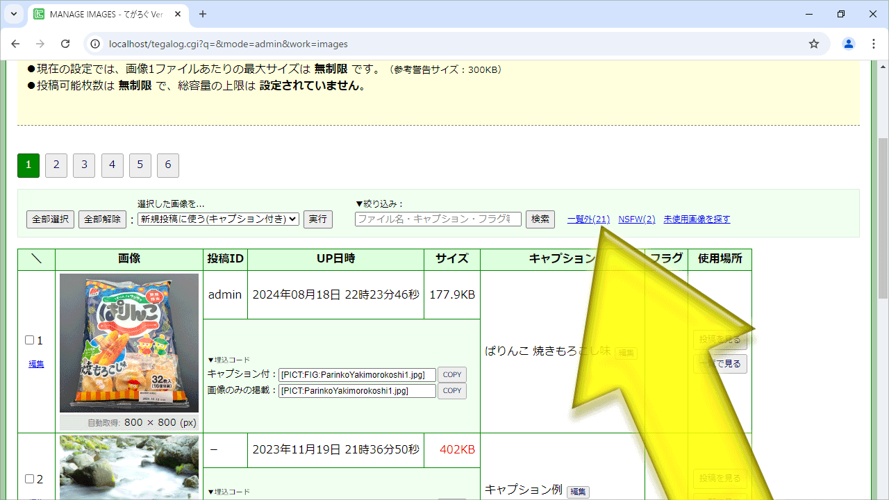 (キャプション自動取得対象外)