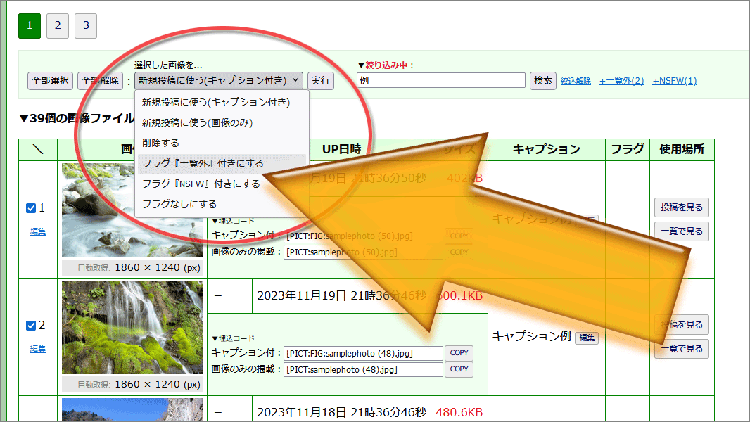 (キャプション自動取得対象外)